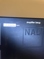 amp setup.jpg