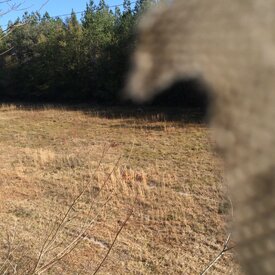 IMG_0125.JPG