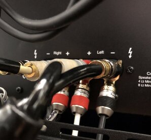 06 - Bi-Wire amp view.jpg