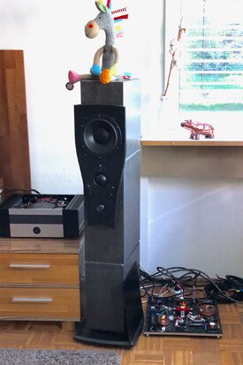 IMG_1604.jpg