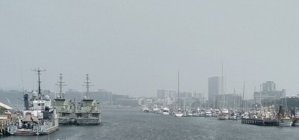 Newcastle harbour.jpg