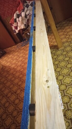 IMG_20221229_123618166.jpg