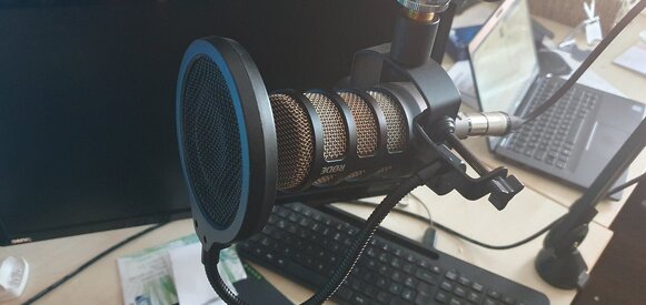 mic2.jpg