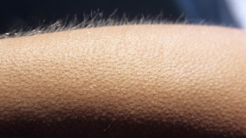 goosebumps.jpg