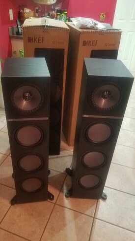 kef_001.jpg kef_001.jpg