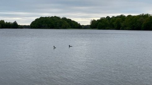 IMG_5320.jpg