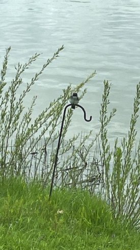 IMG_5329.jpg
