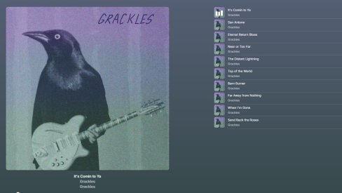 Screenshot 2026-01-17 144843.jpg