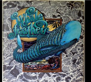 Screenshot 2026-04-10 223512.jpg