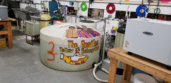 20180706_154012.jpg