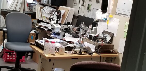 20180706_154130.jpg