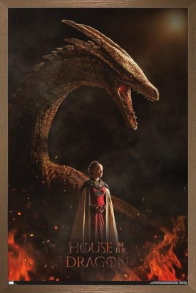 House of the dragon 2.jpg
