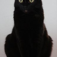 Amano