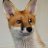 _redfox