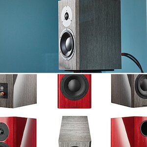 Dynaudio Special Forty