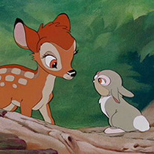 Bambi_390