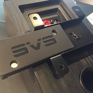 Svs6