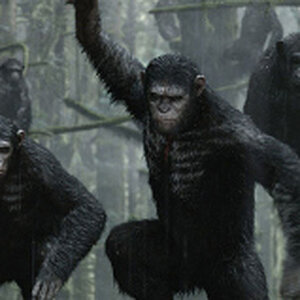 Dawn_Planet_Apes_Four_html