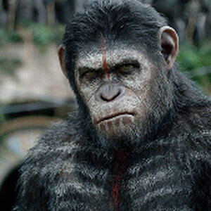 Dawn-planet-apes-1200-1200-675-675-crop-000000