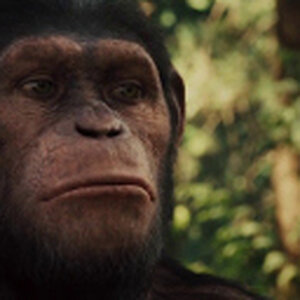 Large-screenshot1