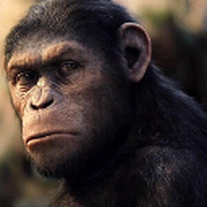 Rise-planet-apes