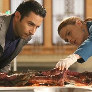 Bones-TV-show-on-FOX-season-11-canceled-or-renewed-590x332