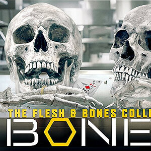 81QLhMP6u8L._SL1500_