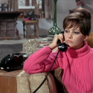 The Pink Panther 6