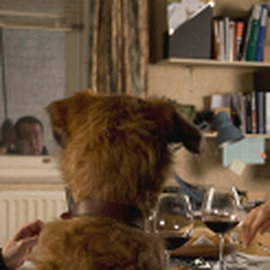 Photo_absolutely-anything-848