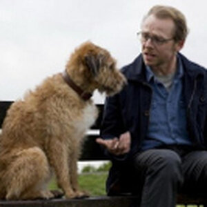 Absolutely-anything-Bannière-620x274