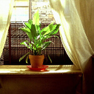 A20493e76e464929b0323a3d8e3a4c0b