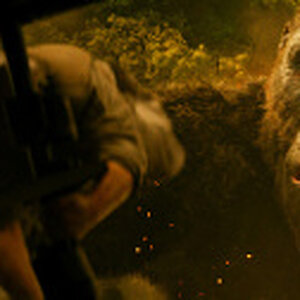 35024011814_9855a14e19_z