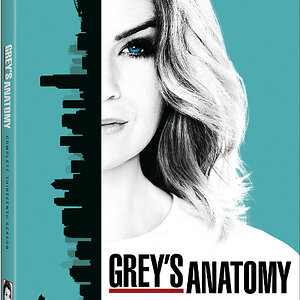 Grey's_Anatomy_Season_13_Print_Beauty_Shots_6.75_DVD_Package_Shot___US_RAP