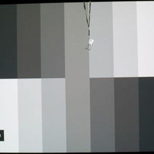 Spears & Munsil Grayscale