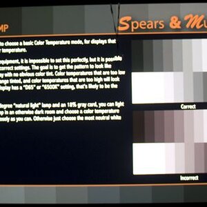 Spears & Munsil Grayscale