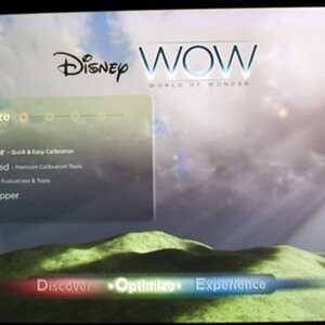Disney WoW