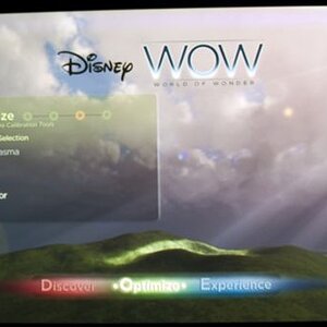 Disney WoW