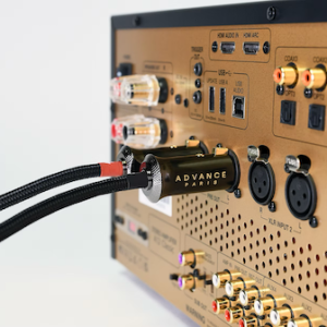 ADVANCE_LINK_XLR_Lifestyle_horizontal_5000px.jpg copy.png
