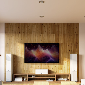 svs capital aduiofest.png