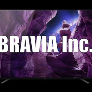 sony TCL Bravia, INC