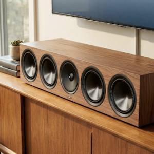 paradigm premier series v2.002.png