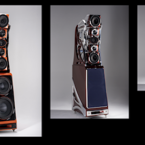 wilson audio autobiography