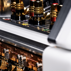 wilson audio autobiography