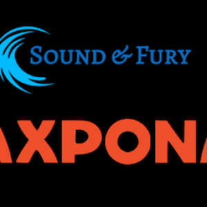 sound & Fury Axpona sold