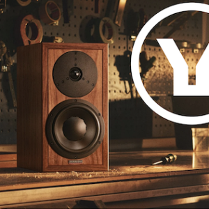 dynaudio
