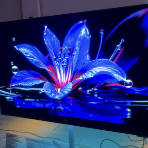Loewe Luxury TVs