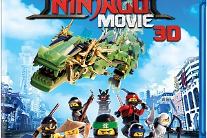 Ninjago 3D 2