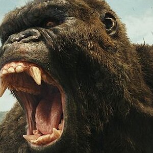 Kong
