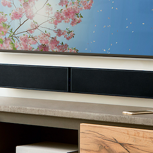 Bluesound Pulse Soundbar