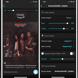 RIVA Voice App